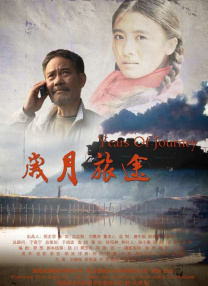 成人免费视频观看